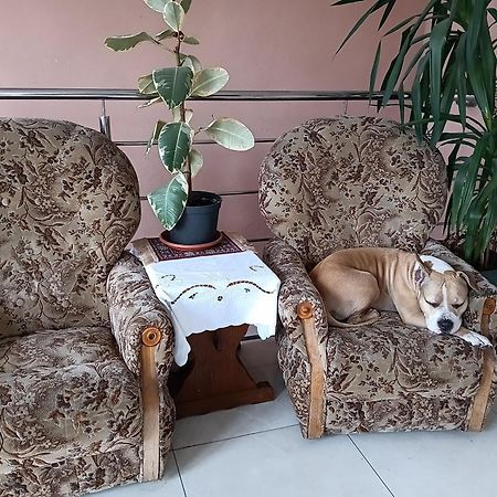 Noclegi Centrum Jelenia Góra Εξωτερικό φωτογραφία